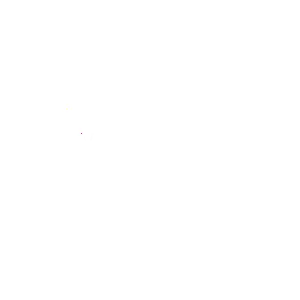 Maxhairaffair
